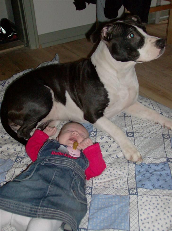 Pige Micha - her er baby (hunden) og mig.. hun passer godt på mig, og er en skøn skøn søster.. hehe billede 17
