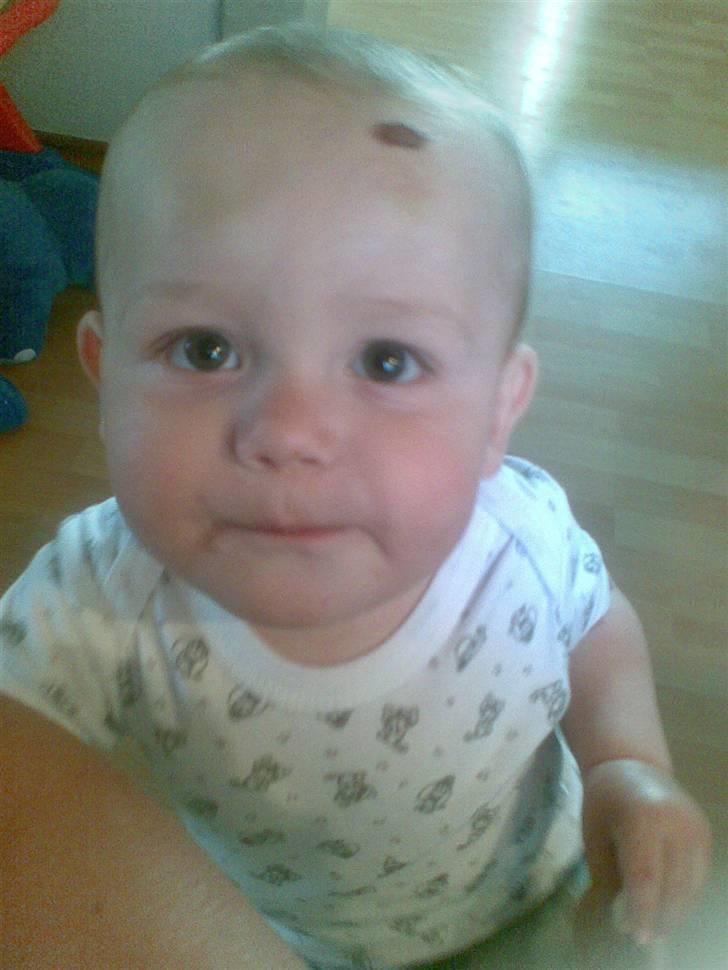 Dreng nicolay - Når jeg er mest artig :-) billede 4