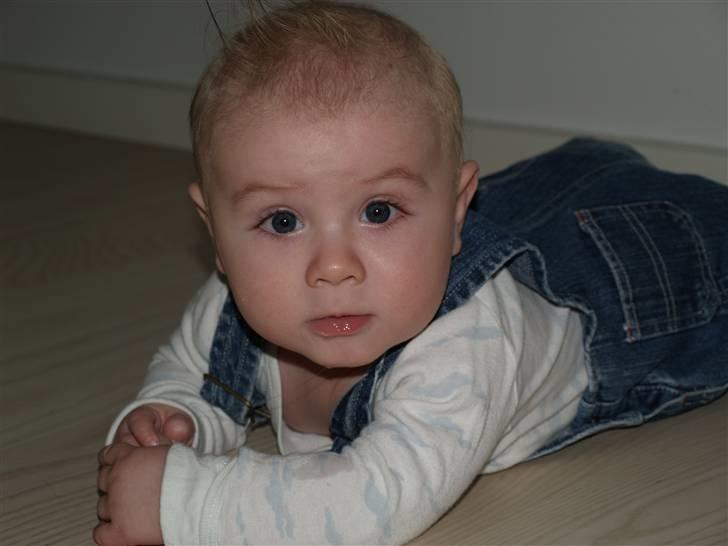 Dreng Gabs billede 6