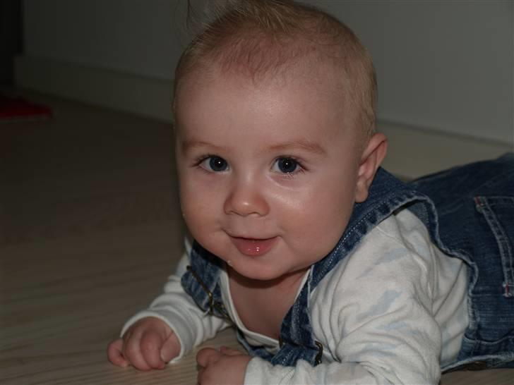Dreng Gabs billede 7