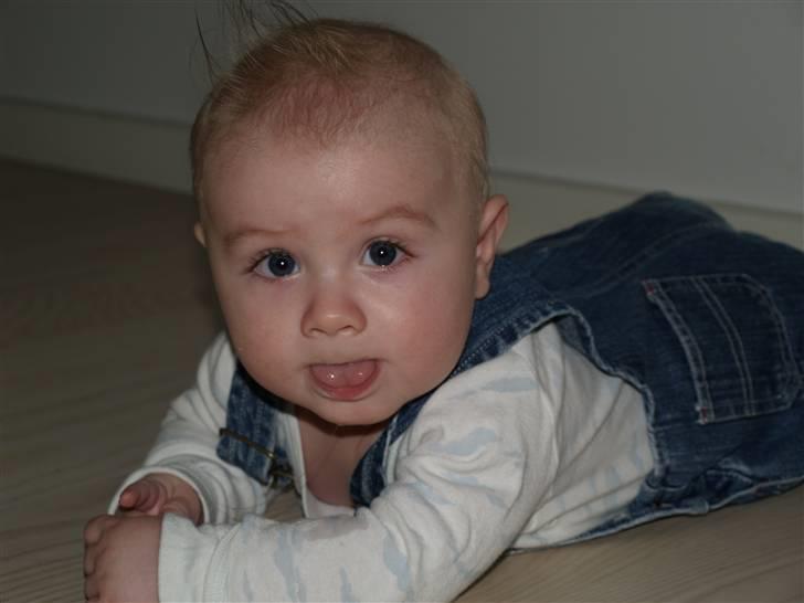 Dreng Gabs billede 8