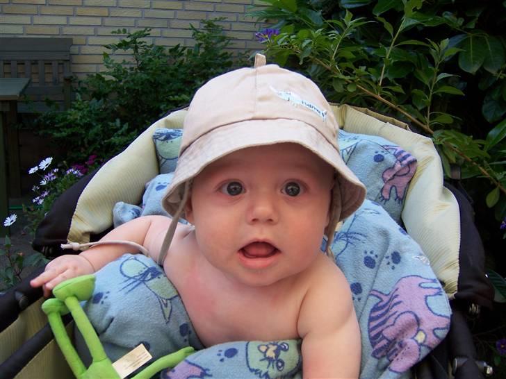 Dreng nicolay - øhh hva sker der lige her?! billede 8