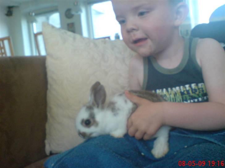 Dreng Oliver  billede 2