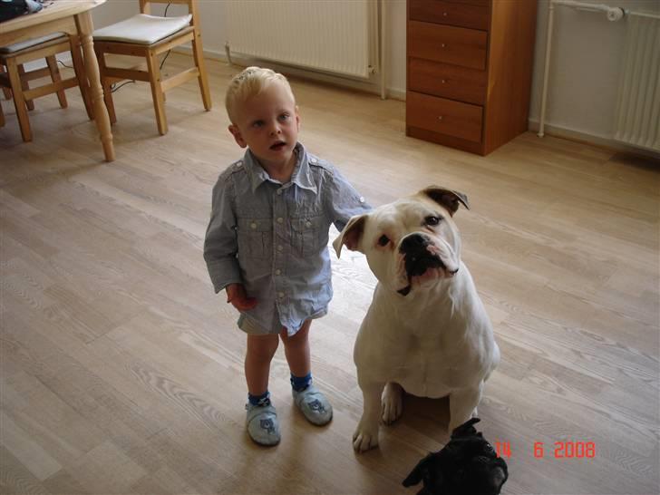 Dreng Jamie - Jamie og Gwen billede 7
