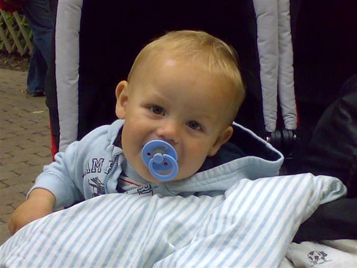 Dreng nicolay billede 10