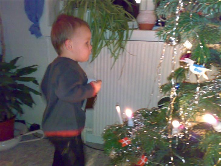 Dreng nicolay billede 12