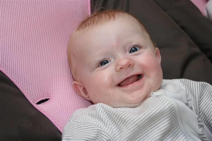 Pige Silke billede 15