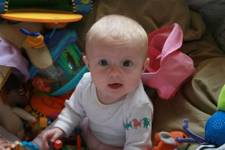 Pige Silke billede 17