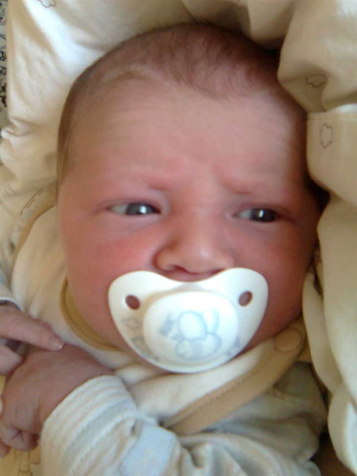 Dreng Tobias - Er det sutten der er stor ? Eller mit hoved der er lille ? :) billede 2