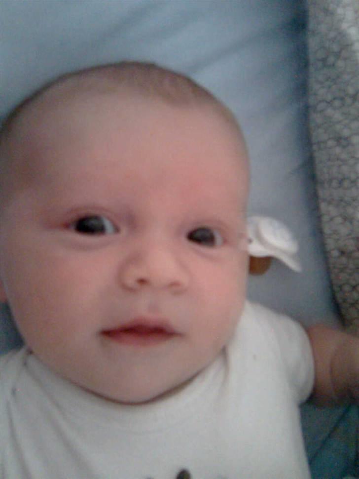 Dreng Tobias billede 4