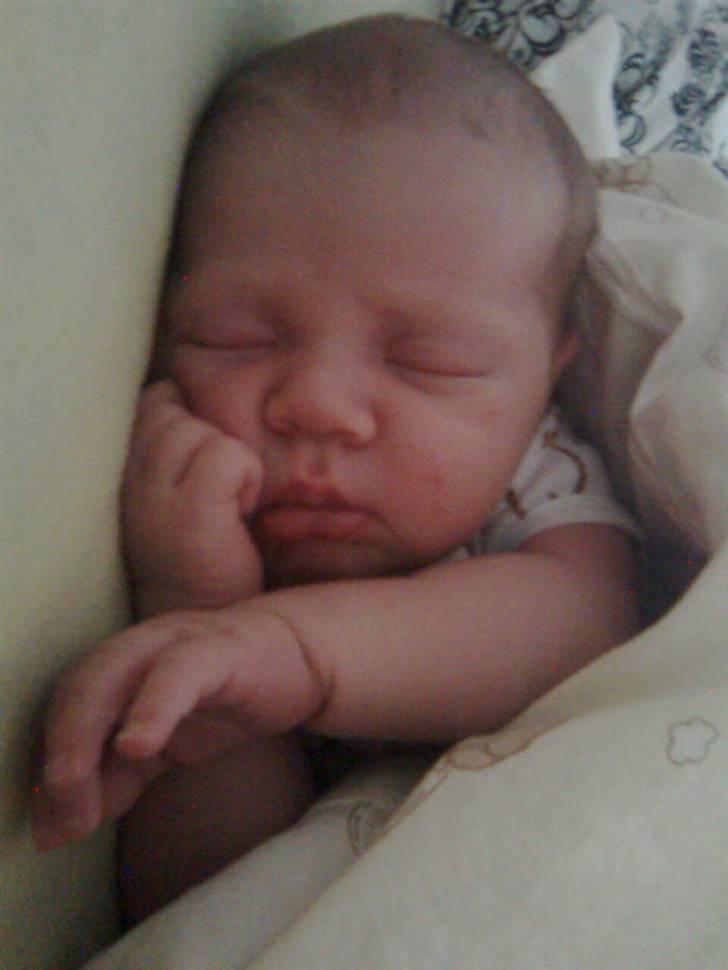 Dreng Tobias - Jeg ligger lige og får mig en lille lur :)  billede 5