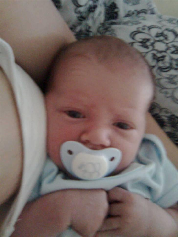 Dreng Tobias billede 8