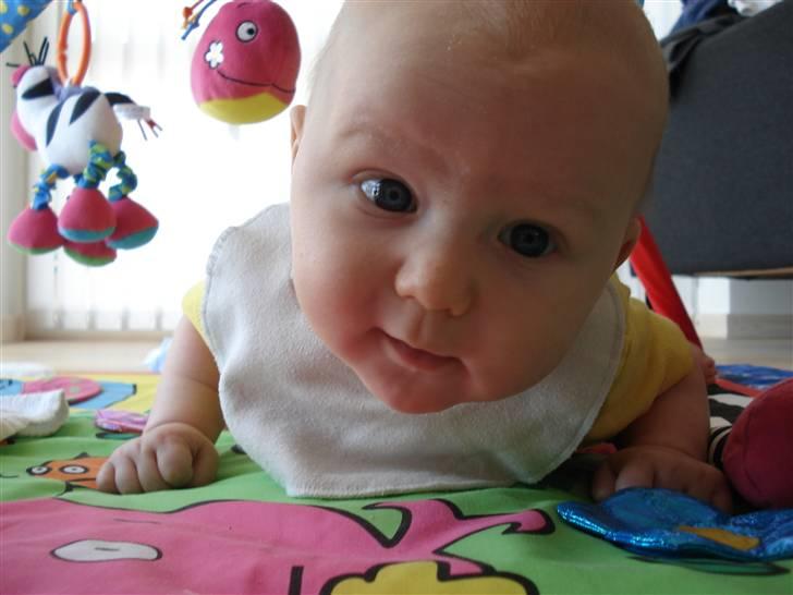 Dreng Frederik Damgaard - Puha, det er nu lidt hårdt at være baby... billede 5