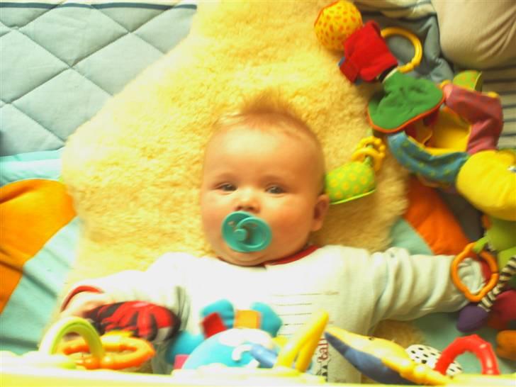 Dreng nick - Min dejlige søn nick billede 1