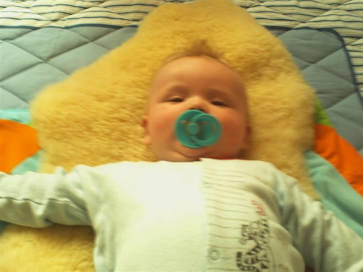 Dreng nick - Ligger bare og nyder det....  billede 2