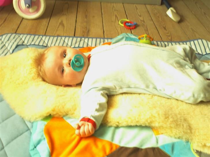 Dreng nick - Ligger bare her og er mitpunket... billede 3