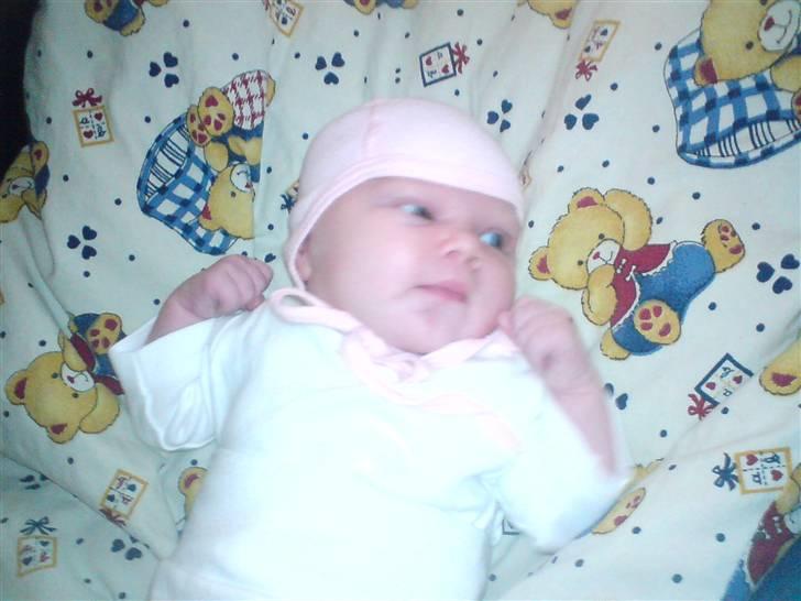 Pige Alberte billede 13