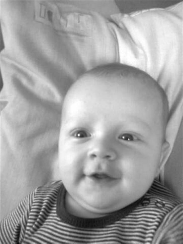 Dreng Tobias billede 18