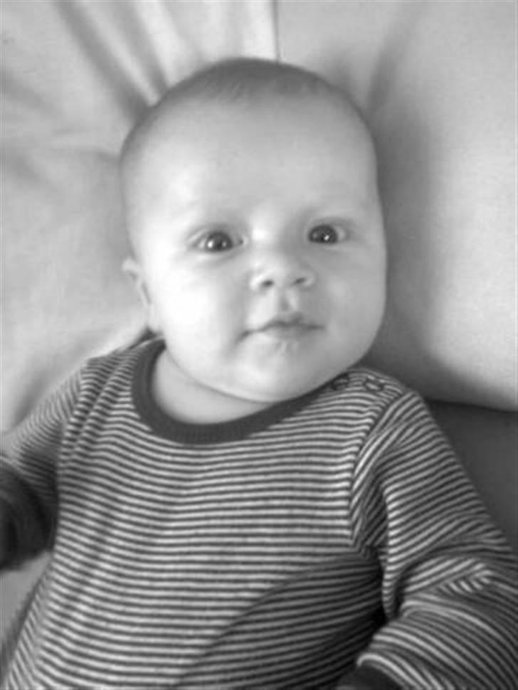 Dreng Tobias billede 19