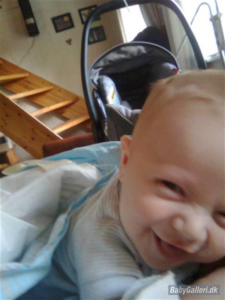 Dreng Tobias billede 20