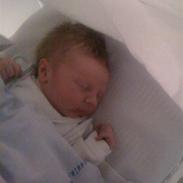 Dreng Lucaz Lynne Zielinski