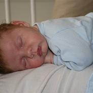 Dreng Lucaz Lynne Zielinski