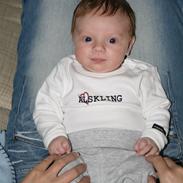 Dreng Lucaz Lynne Zielinski