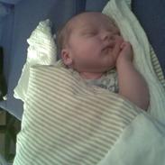Dreng Lucas Frost Andersen