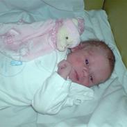 Pige josefine