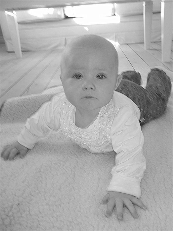 Pige josefine billede 19