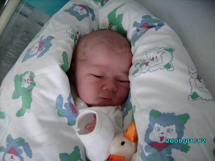 Dreng Simon billede 12