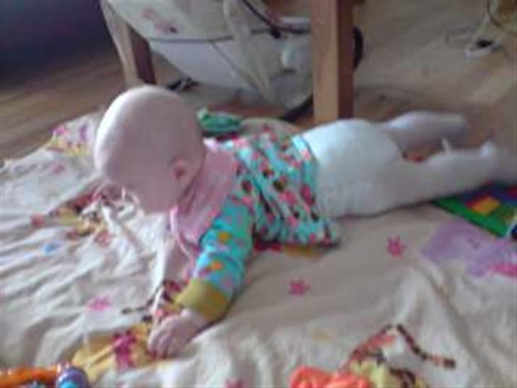 Pige Kira Vørsing billede 20