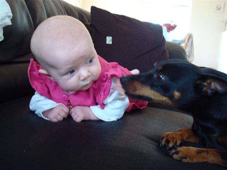 Pige Natascha - "kom Chico, vi skal have taget billed" billede 9