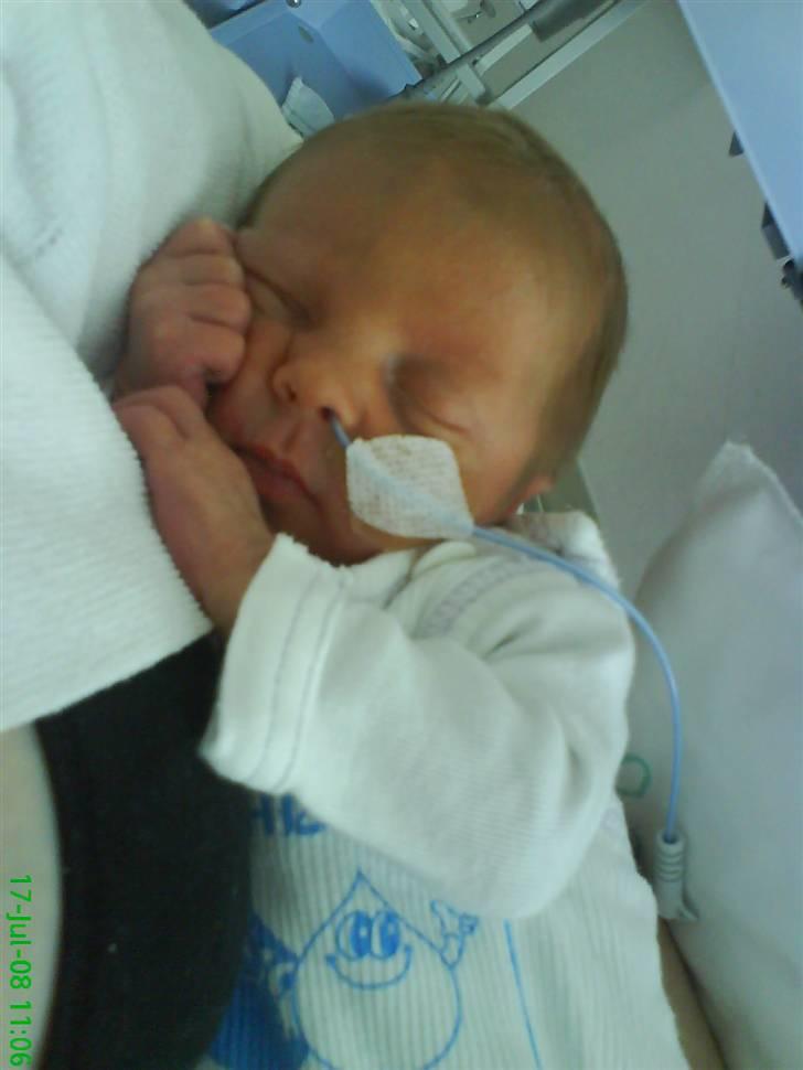 Dreng Malthe billede 17