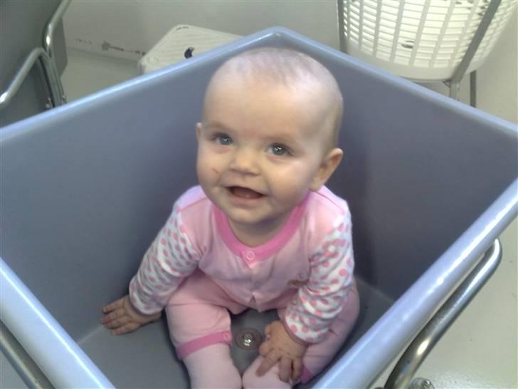 Pige Maya isabella billede 5