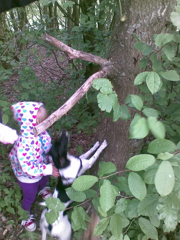 Pige Ditte Fuglsang Larsen - Ditte leger med Pollo billede 7