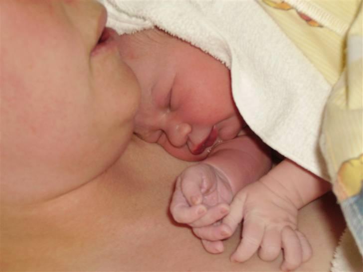 Pige Sophia - 5 minutter gammel født på 15 min fra 1 ve. billede 2