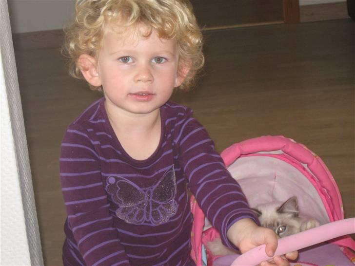 Pige Sophia billede 9