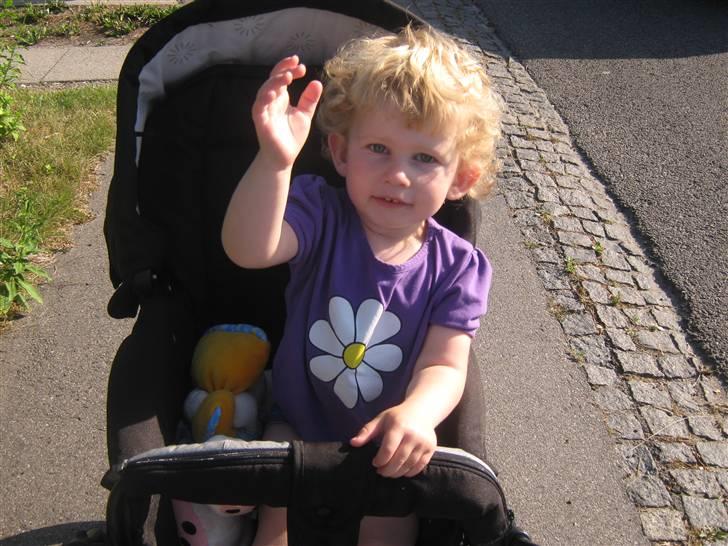 Pige Sophia billede 11