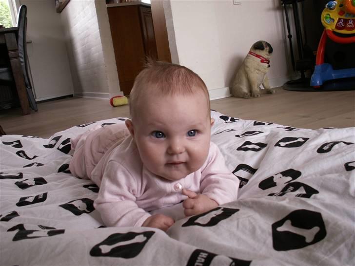Pige Daniella billede 12