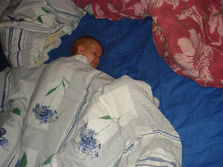 Pige Ida - Prinsessen hviler i mor og fars seng! billede 9