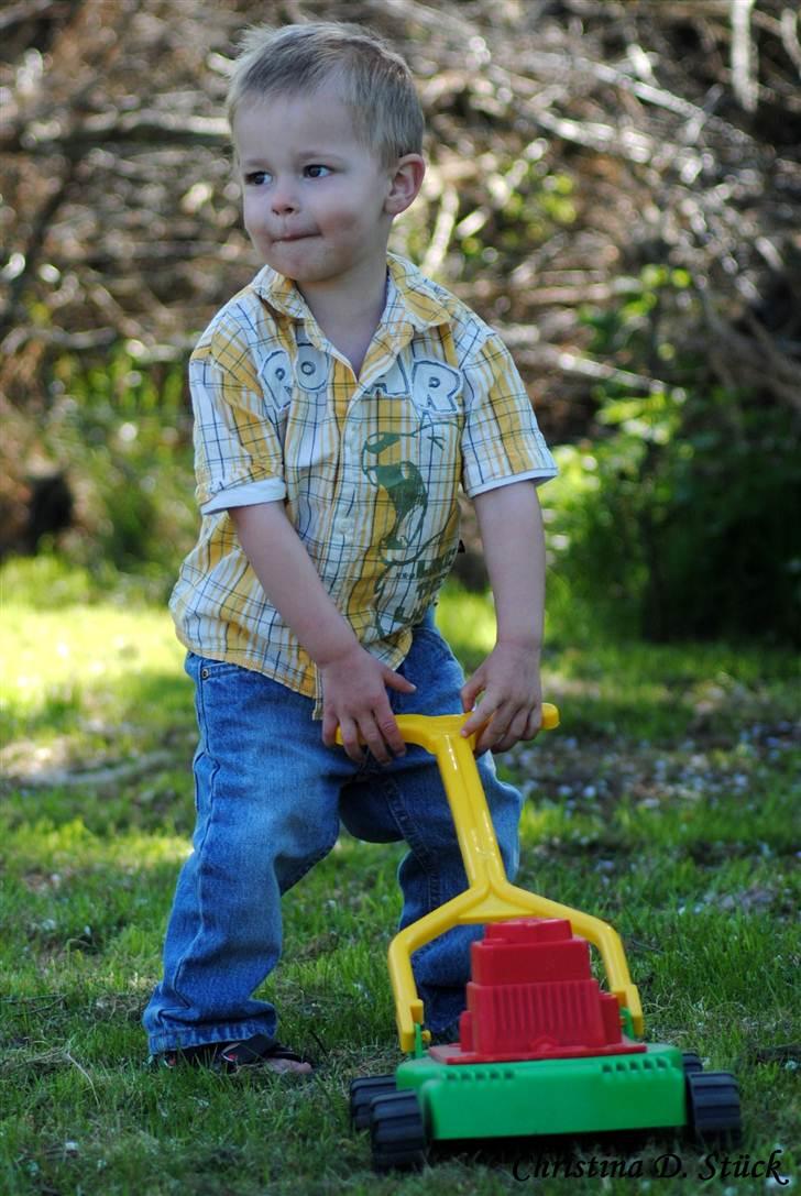 Dreng Noah billede 2