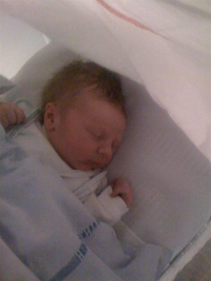 Dreng Lucaz Lynne Zielinski - Her er Lucaz et par timer gammel billede 3