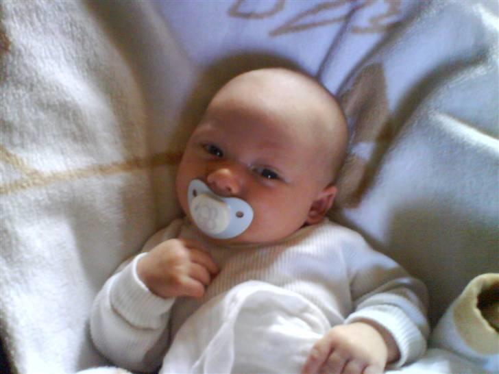 Dreng Marcus billede 1