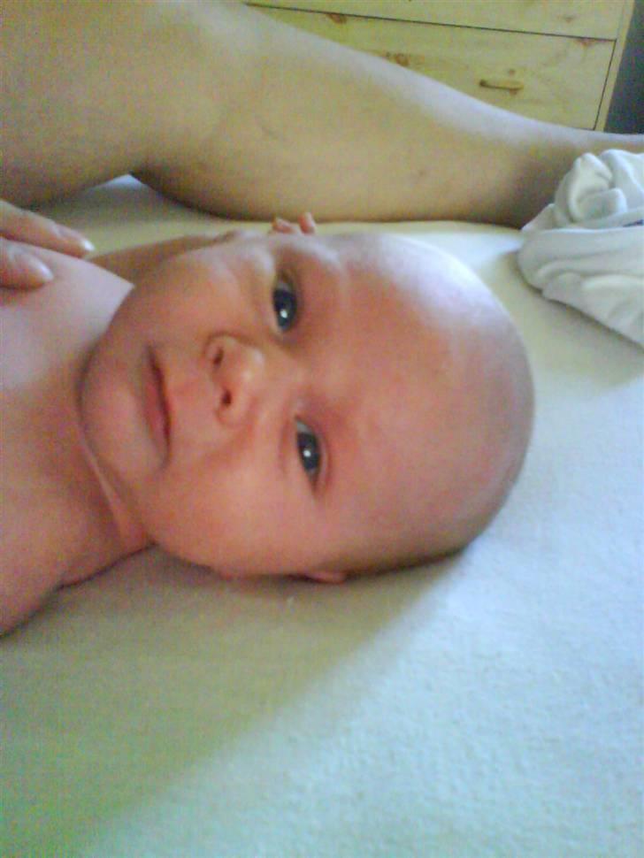 Dreng Marcus billede 6