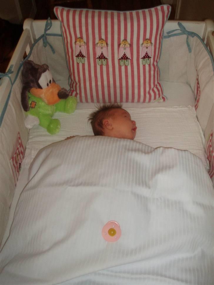 Pige Lærke  - Sover for første gang i sin nye store seng... billede 12