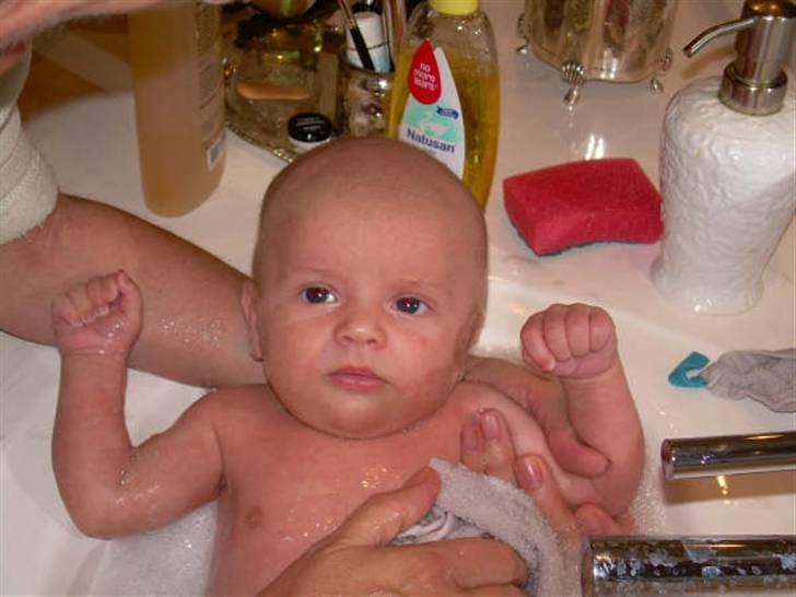 Dreng William billede 1
