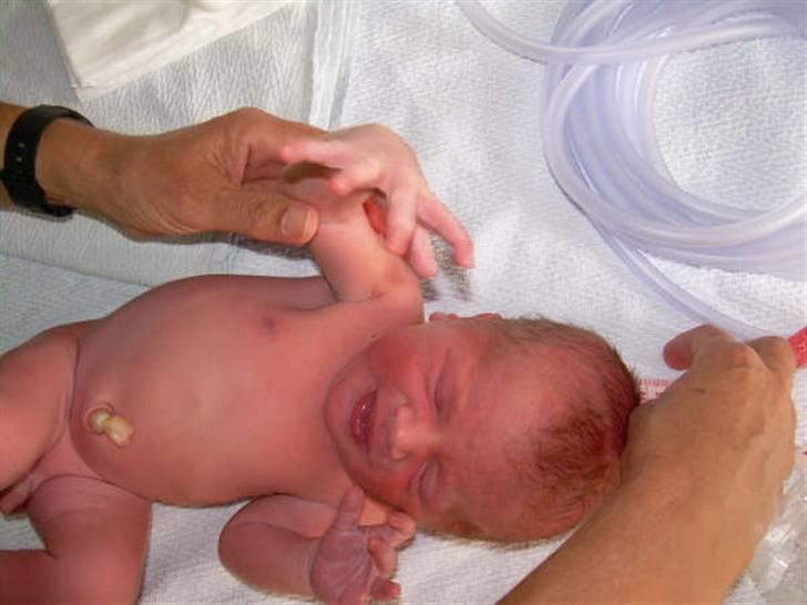 Dreng William billede 3