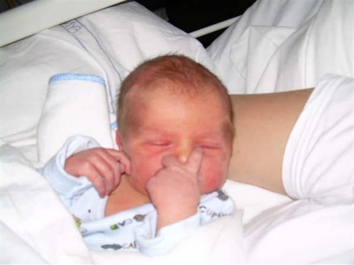 Dreng William billede 4