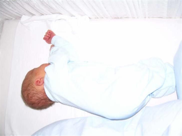 Dreng William billede 5